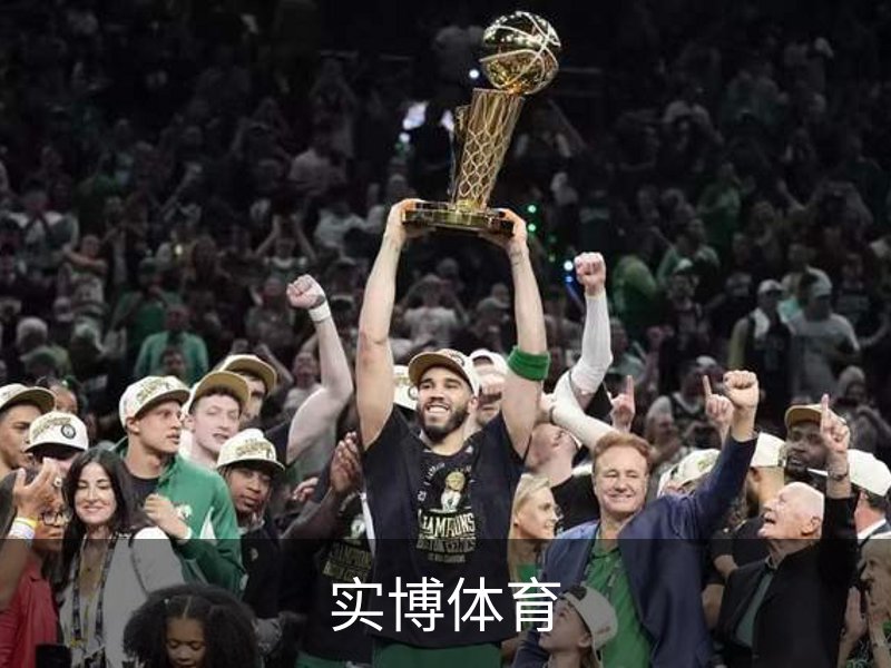 实博体育简介