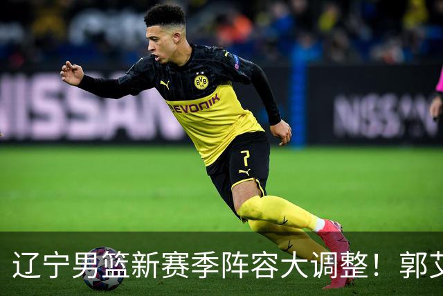 辽宁男篮新赛季阵容大调整！郭艾伦或重返辽篮，杨鸣有望回归